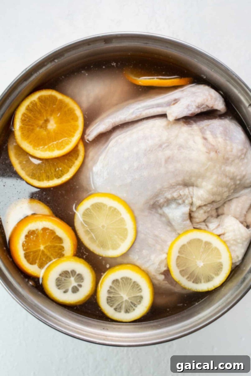 The Ultimate Thanksgiving Turkey Guide 3 A whole, raw turkey submerged in a large pot filled with a citrus-infused brine solution, ready for an overnight soak.