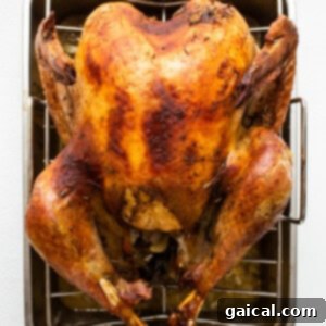 A fully roasted turkey resting in a roasting pan after being removed from the oven.