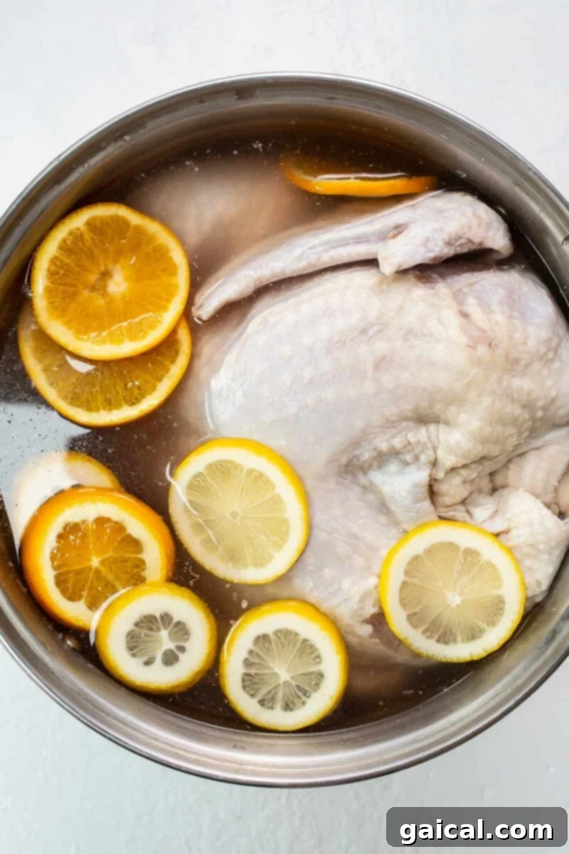 A whole turkey submerged in a clear brine solution, resting in a large pot, ready for chilling.