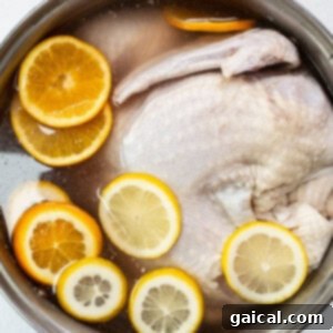 A whole turkey submerged in a clear brine solution in a large pot, ready for chilling and brining.