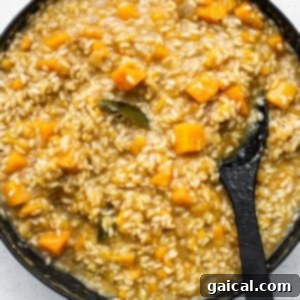A skillet filled with rich and creamy risotto and squash, finished with cheese.