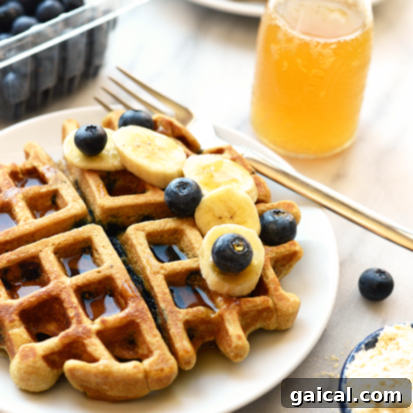 Wholesome Blueberry Waffles 5 A top-down view of a plate featuring several healthy blueberry waffles, suggesting a full batch of this delicious recipe.