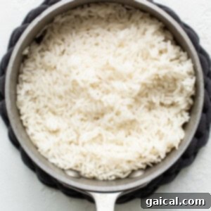 Cooked white rice in a pan on a white background.