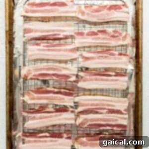 Bacon strips partially cooked on a baking sheet with a wire rack.