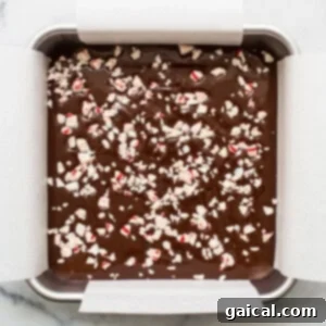 Fudge batter smoothed in pan, topped with crushed peppermints.