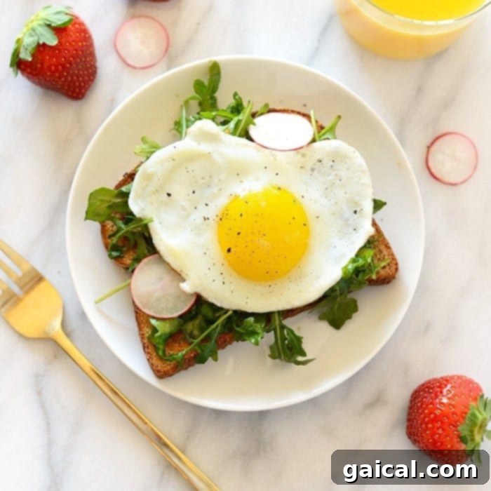 15+ Creative Egg Breakfasts to Kickstart Your Day 16 A vibrant Toast Tuesday breakfast sandwich featuring a fried egg, fresh arugula, and thinly sliced radishes.