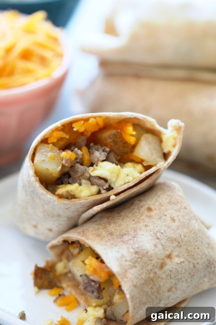 15+ Creative Egg Breakfasts to Kickstart Your Day 18 Delicious breakfast burritos arranged on a plate, showing off their generous fillings of cheese and eggs.
