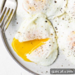 Liquid Gold Breakfast 9 Close-up of a perfectly cooked over easy egg with a runny yolk.