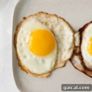 How to Fry an Egg