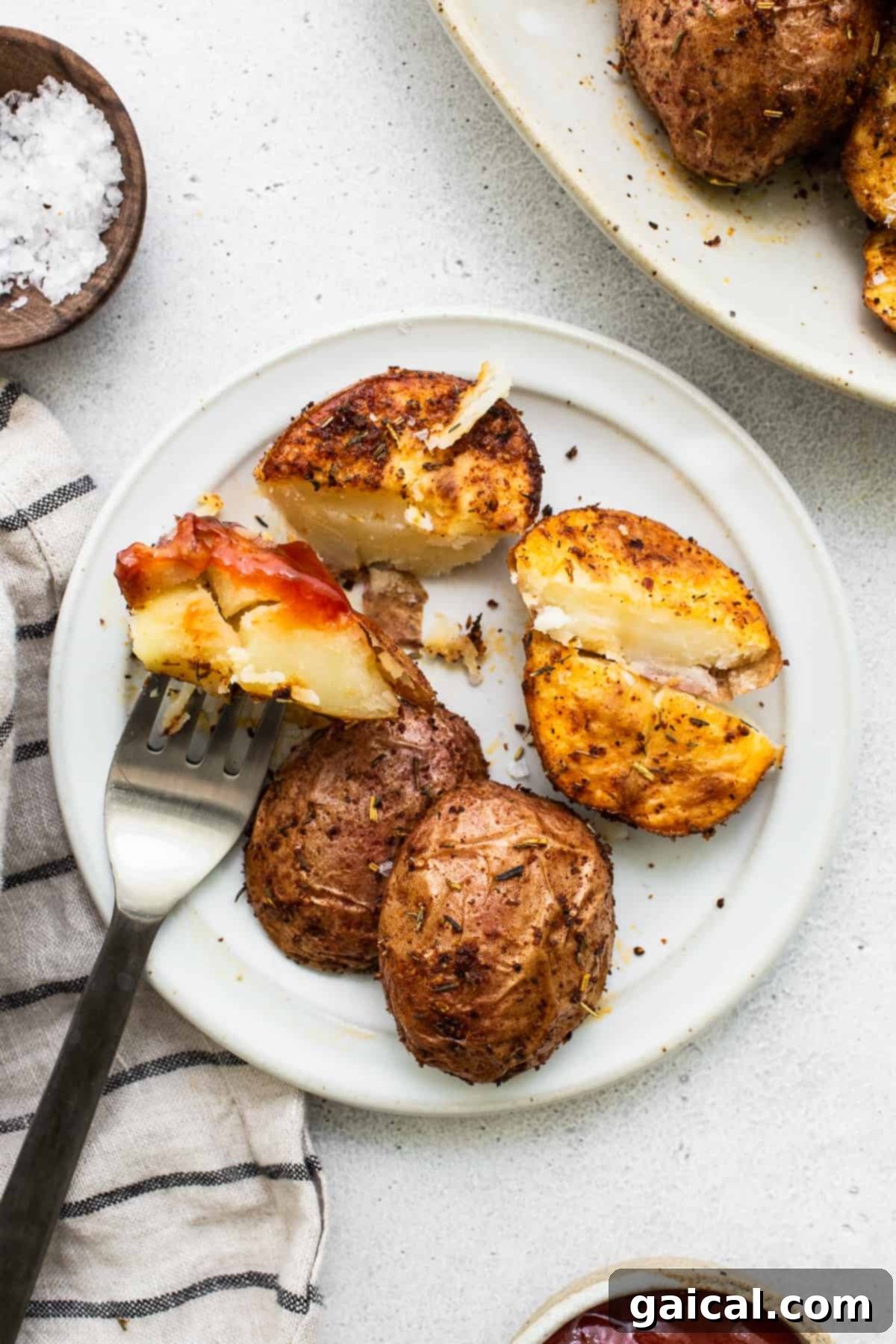 A delicious serving of crispy air fryer potatoes on a plate with a dollop of ketchup, highlighting their golden perfection.
