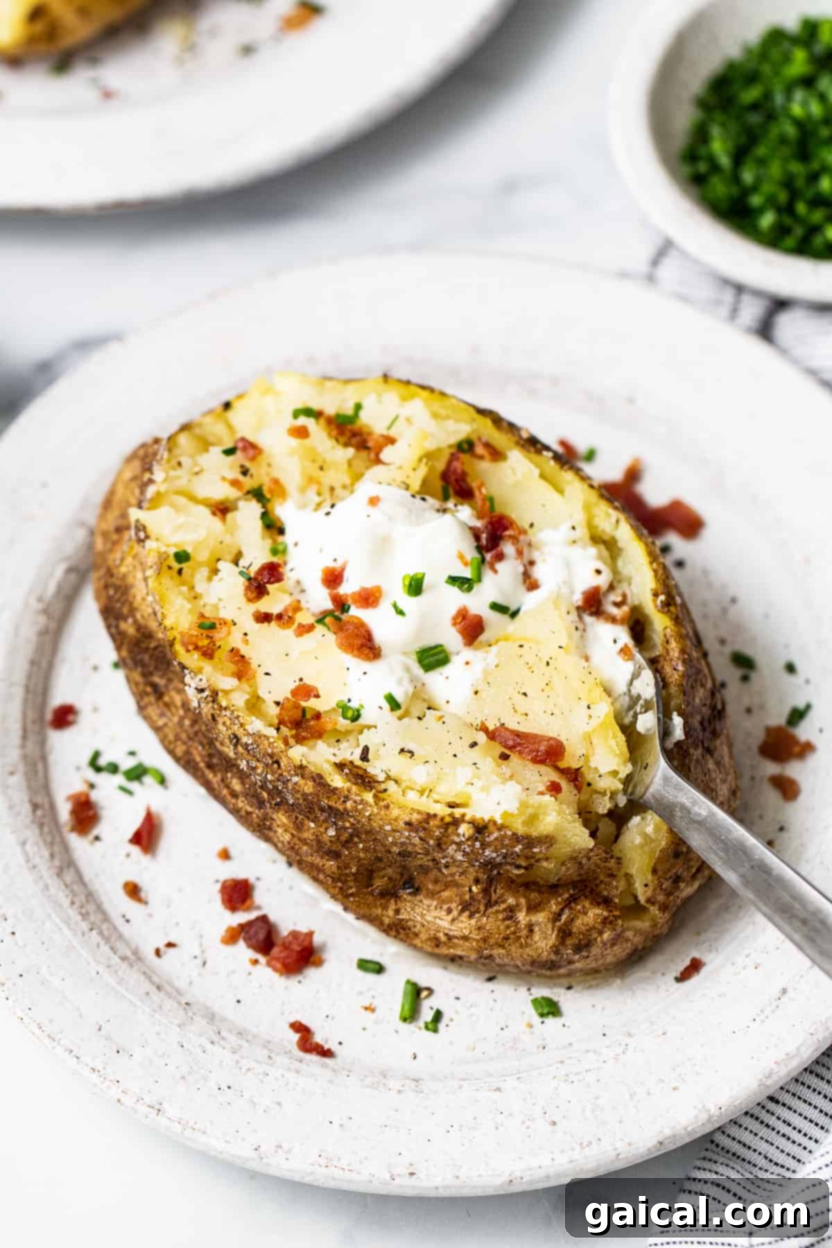 Microwave Potato Hack 4 Microwave potato topped with toppings.