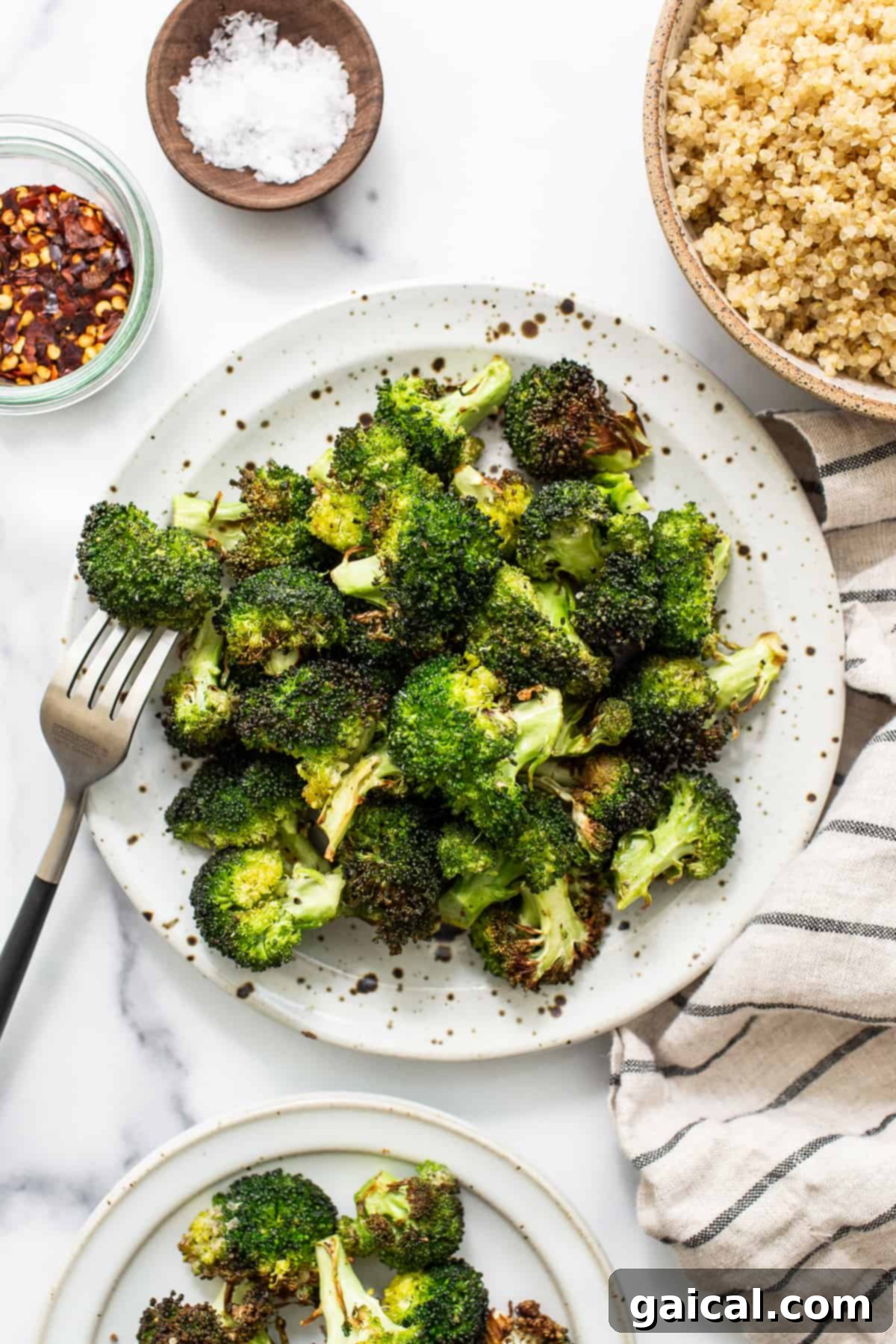 A vibrant, healthy plate featuring perfectly air-fried broccoli alongside a main dish, ready for a delicious meal.