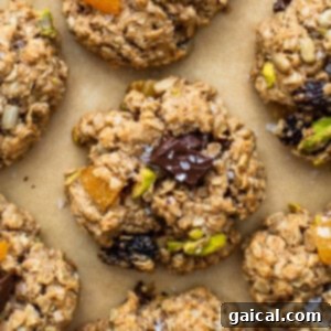 Adventure Fuel Blend 2 Trail mix cookies.