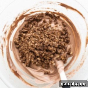Swirled Strawberry Chocolate Yogurt Bark 3 Chocolate granola in a bowl with a spatula.
