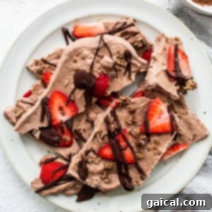 Chocolate strawberry frozen yogurt bark.