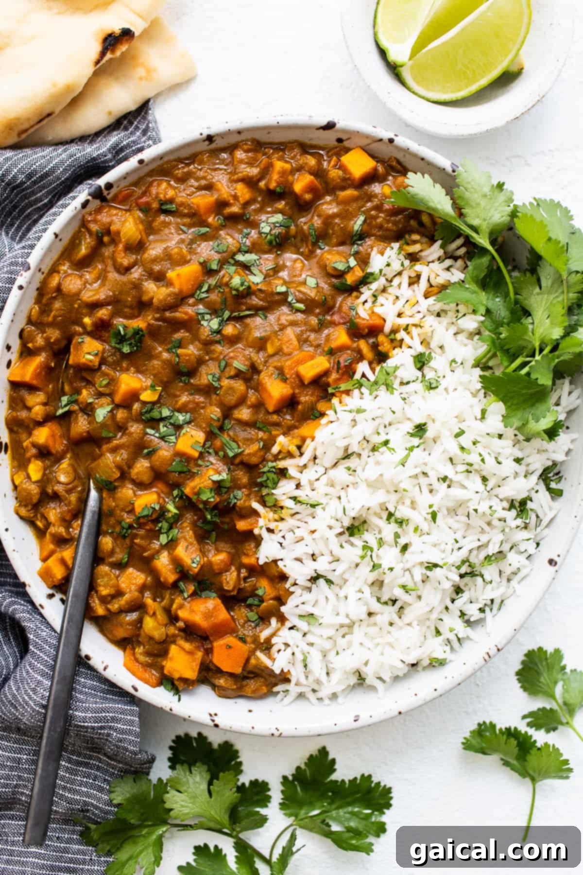 Hearty Vegetarian Lentil Curry: Flavor-Packed & Protein-Rich Meal A vibrant bowl of vegetarian lentil curry, garnished with fresh cilantro and ready to serve.
