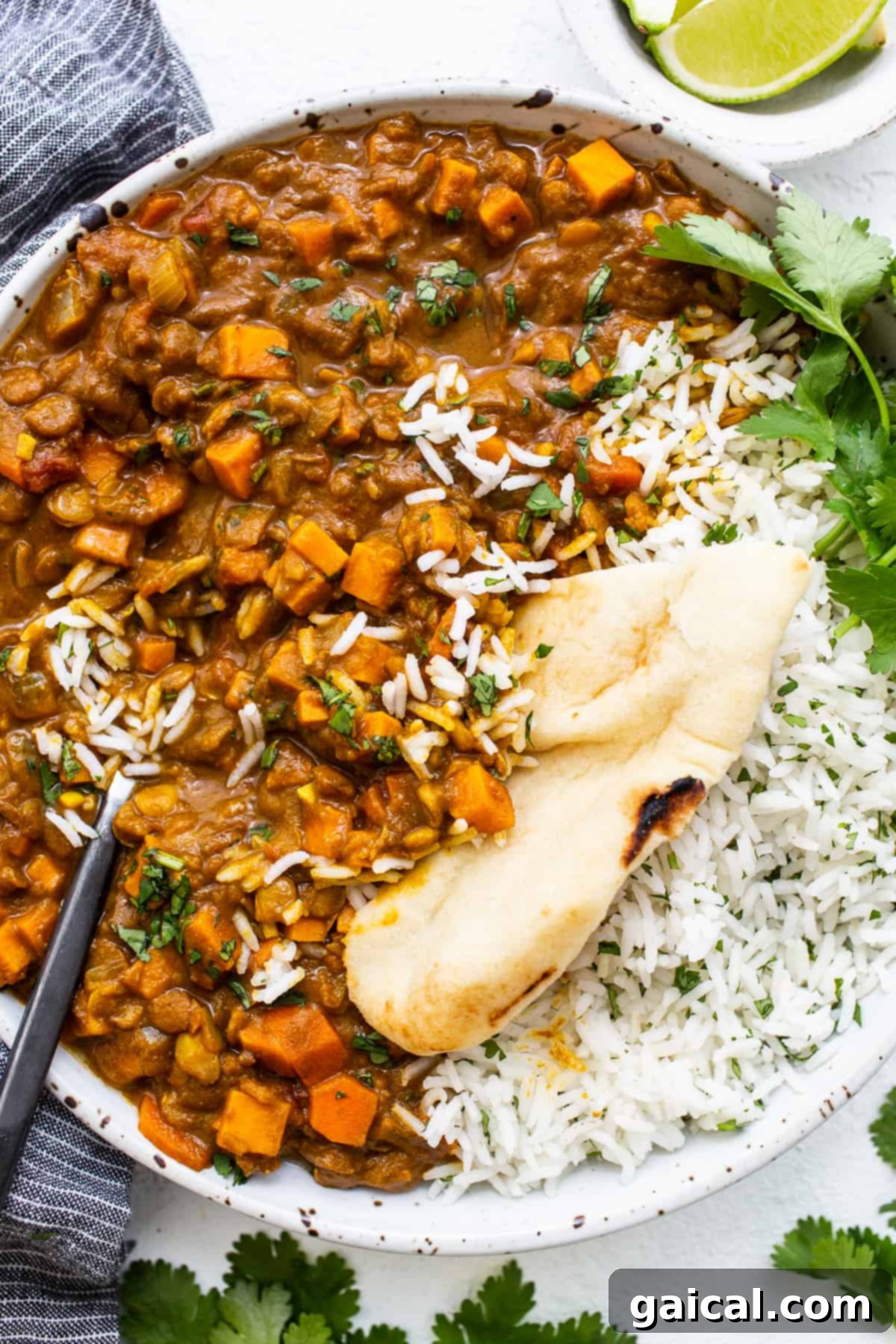 Serving Vegetarian Lentil Curry with Naan and Cilantro A beautifully plated bowl of vegetarian lentil curry, accompanied by a soft slice of naan bread, garnished with fresh cilantro.