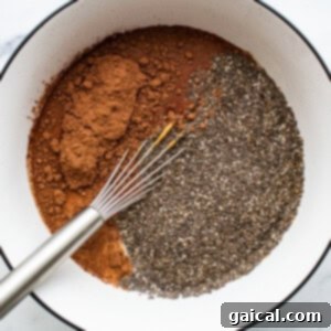 Chia seeds and cocoa powder in a bowl with a whisk.