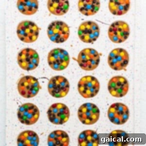 A muffin tin filled with cookies, each topped with colorful M&M's, ready for chilling.