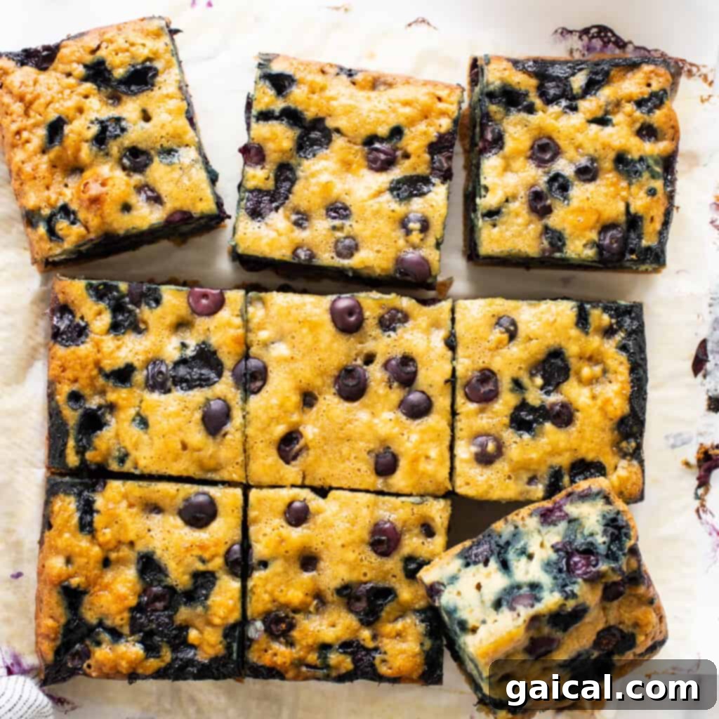Golden Blueberry Coffee Cake 5 A top-down view of the baked blueberry breakfast cake in its square pan, ready for slicing.