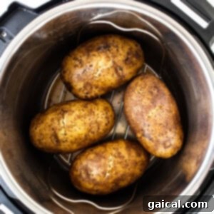Potatoes arranged inside an Instant Pot for cooking.