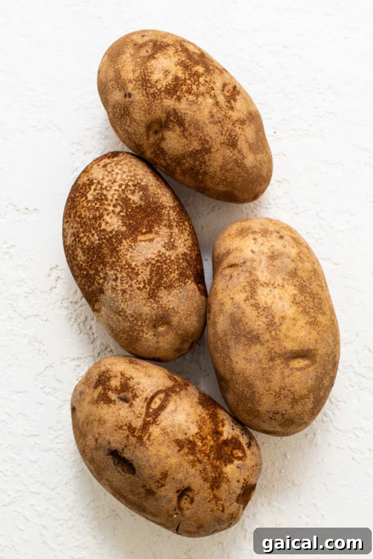 Fresh russet potatoes neatly arranged on a kitchen countertop.