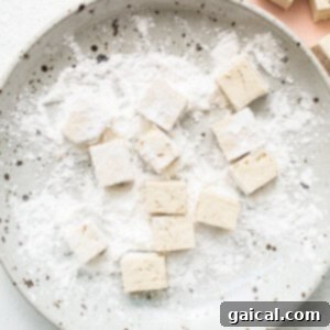 Tofu cubes on a plate with powder on it.