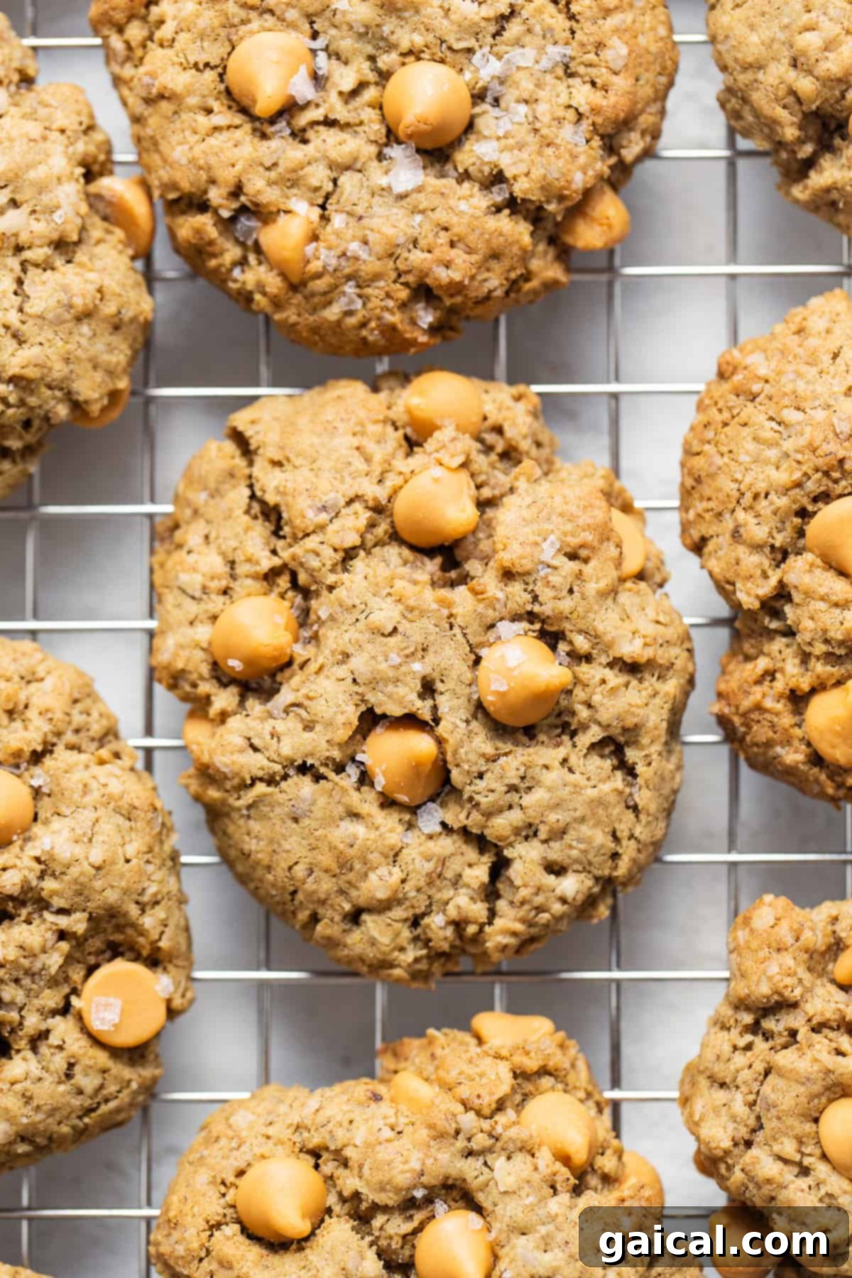 Freshly baked brown butter oatmeal butterscotch cookies cooling on a wire rack.