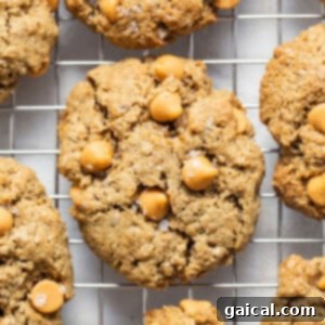Close-up of a single brown butter oatmeal butterscotch cookie on a cooling rack.