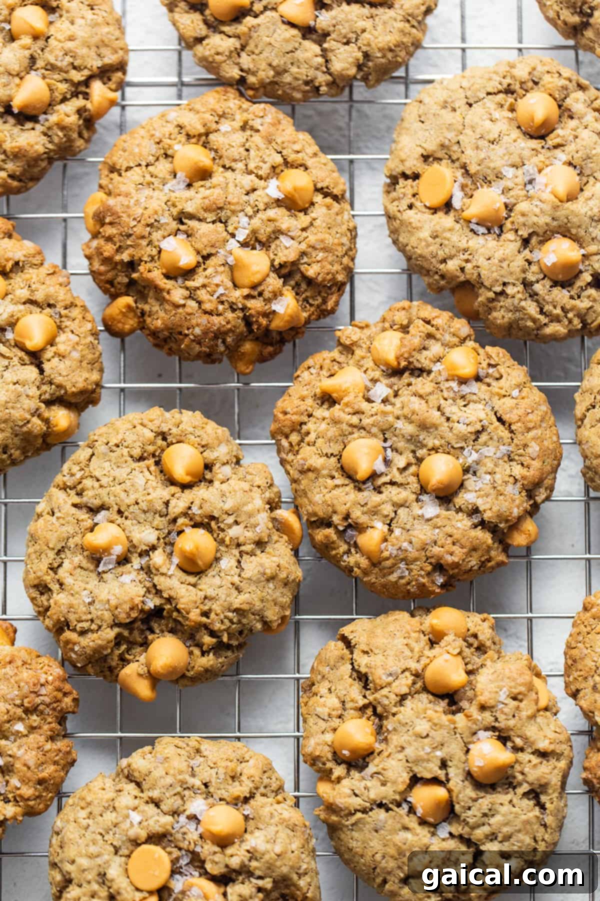 A batch of warm, golden-brown butterscotch oatmeal cookies cooling on a metal wire rack.