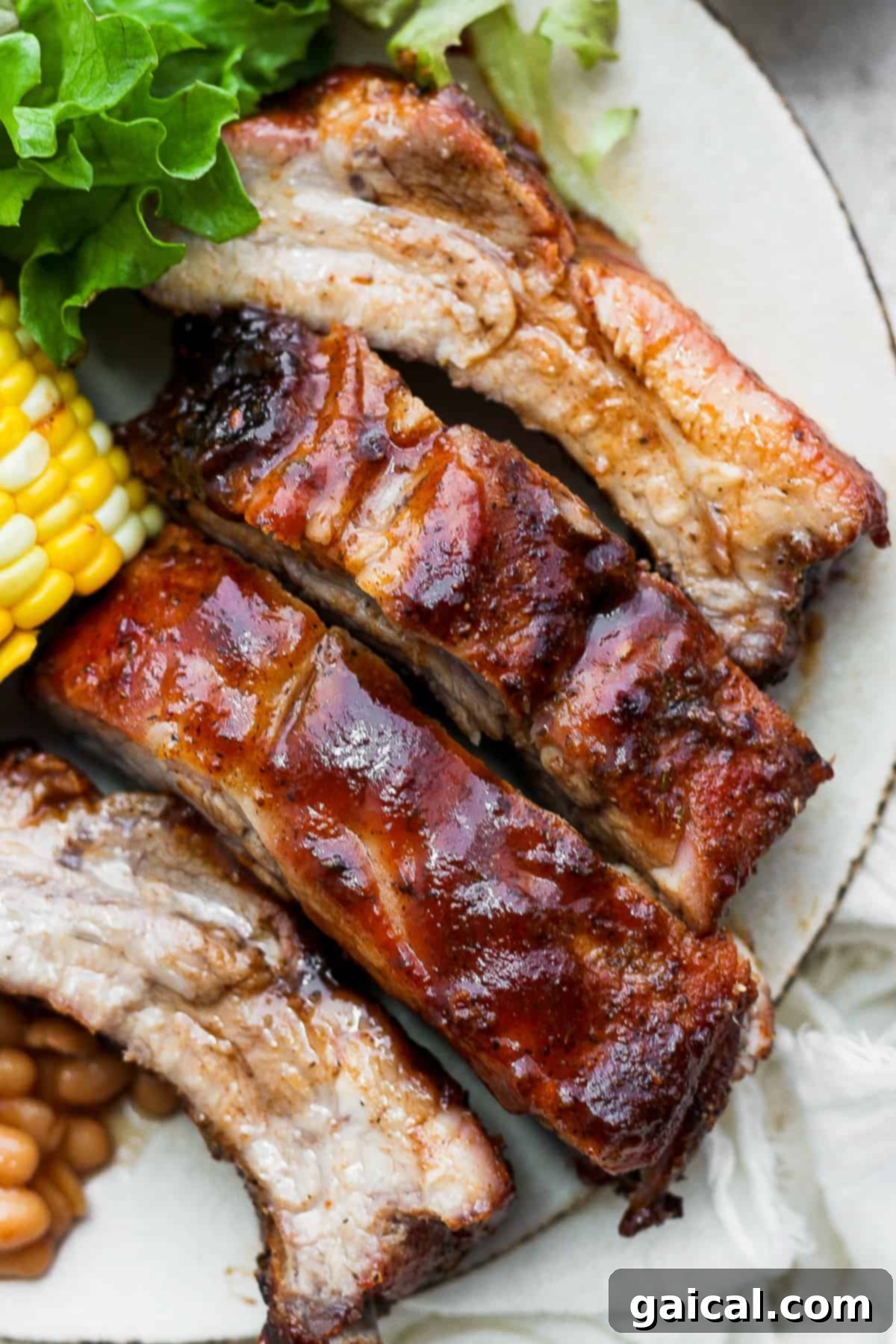 Flavorful Dry Rubbed Ribs Deliciously dry rubbed ribs served on a white plate, glistening and ready to eat.