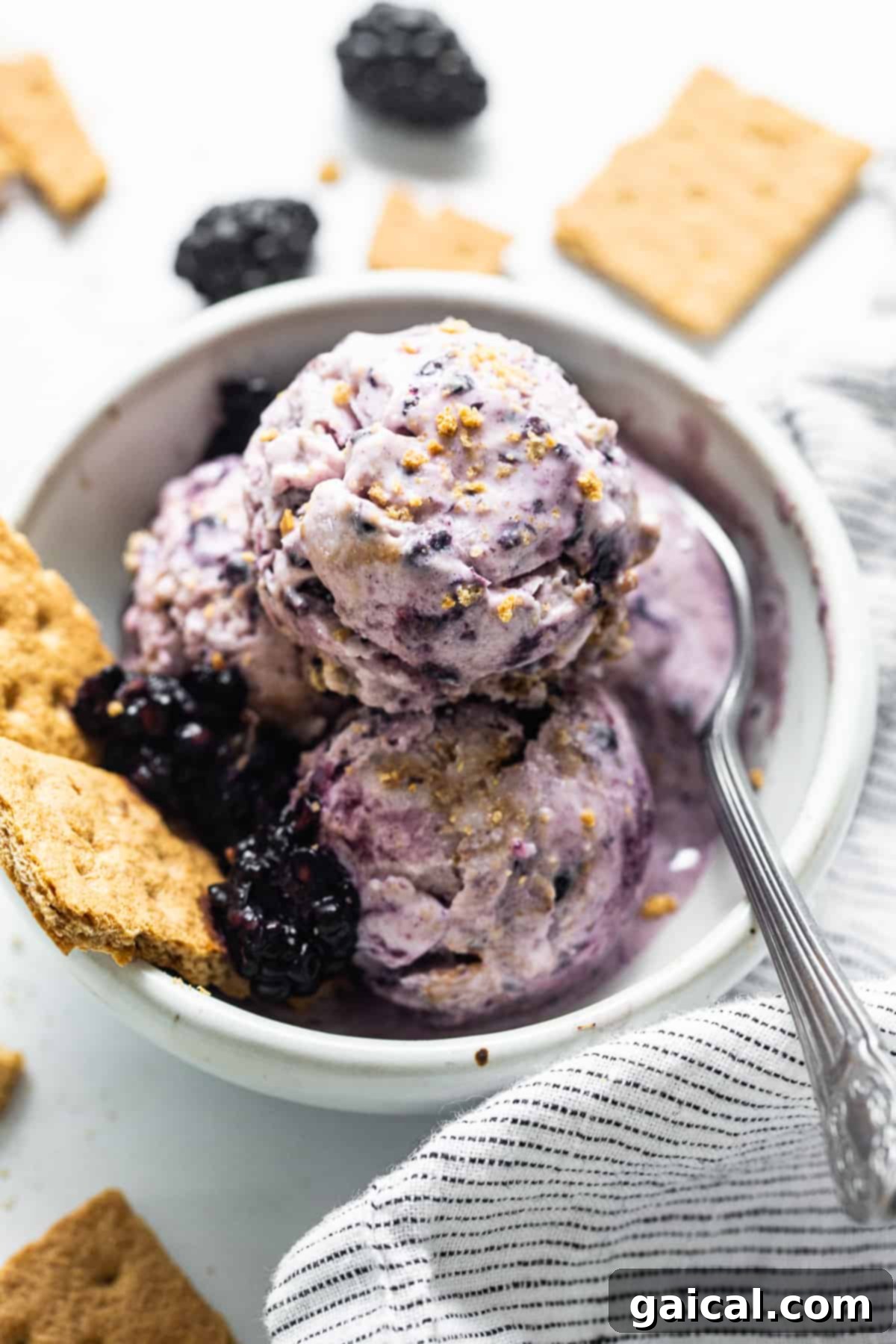 Velvet Blackberry Cheesecake Protein Chill 6 A bowl of creamy blackberry cheesecake cottage cheese ice cream topped with fresh blackberries and graham cracker crumbs.