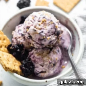 Cookies & Cream Protein Dream 4 A scoop of blackberry cheesecake cottage cheese ice cream in a bowl, garnished with fresh blackberries.