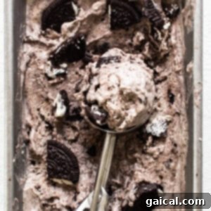 A scoop of homemade cookies and cream cottage cheese ice cream resting on an ice cream scoop, ready to be served.