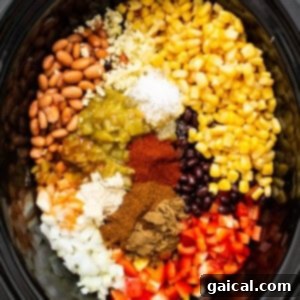 Set-It-and-Forget-It Chicken Tortilla Soup 5 A crock pot full of ingredients for crock pot tacos.