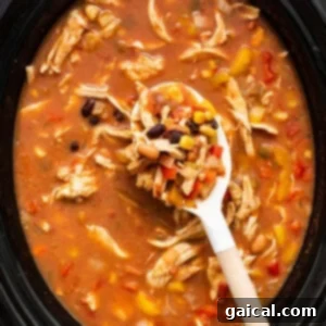 Set-It-and-Forget-It Chicken Tortilla Soup 8 A bowl of mexican chicken soup with a wooden spoon.