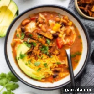 Set-It-and-Forget-It Chicken Tortilla Soup 9 A bowl of Mexican chicken soup with avocado and tortilla chips.