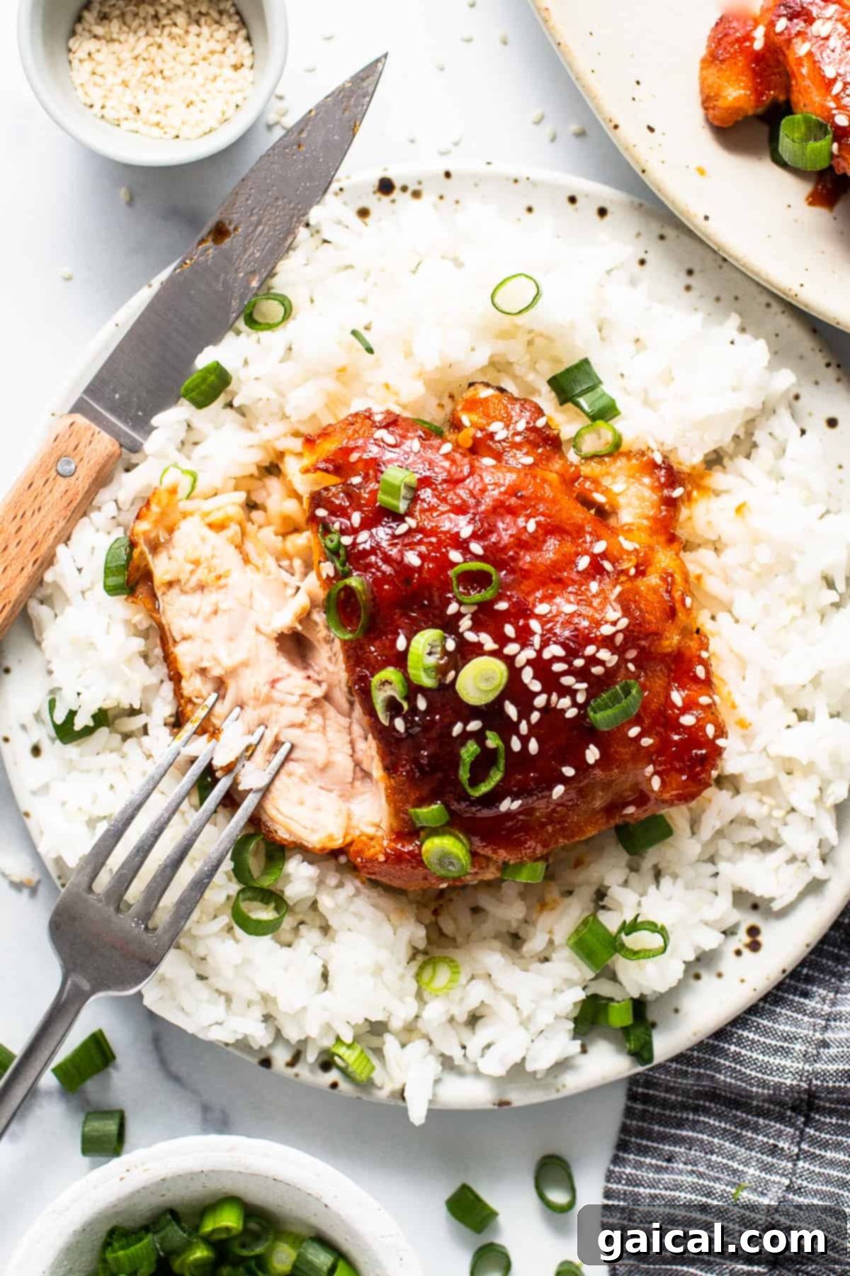 Dynamite Chicken Thighs 2 chicken thigh on a plate with rice and a knife.
