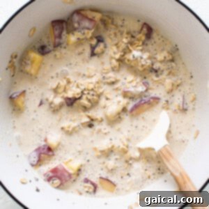 Golden Peach Overnight Bliss 9 A bowl of oatmeal with apples and oats.