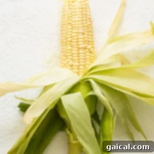 Corn on the cob on a white background.