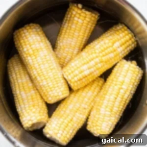 Corn on the cob in a metal bowl.