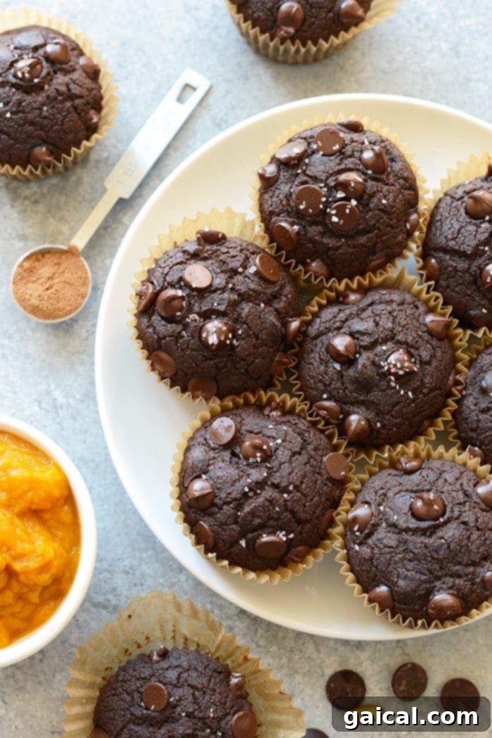 Guilt-Free Chocolate Pumpkin Muffins 2 A beautifully arranged plate of moist, oil-free chocolate pumpkin muffins, garnished with chocolate chips, ready for a cozy fall treat.