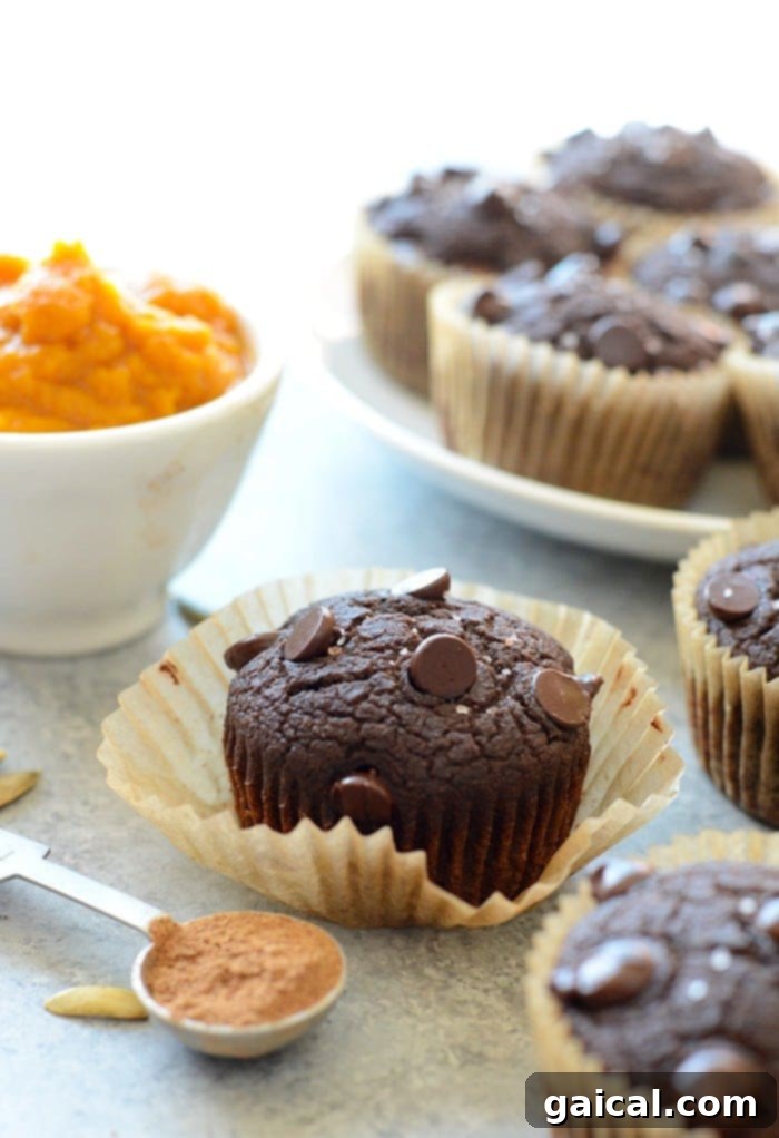 Guilt-Free Chocolate Pumpkin Muffins 5 A single, perfectly baked chocolate pumpkin muffin with visible chocolate chips, sitting on a clean white surface, invitingly ready to eat.
