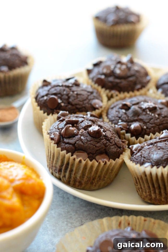 Guilt-Free Chocolate Pumpkin Muffins 6 A charming display of several oil-free chocolate pumpkin muffins on a plate, showcasing their inviting appearance and ready for serving.