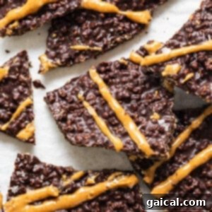 Finished chocolate quinoa crisps, broken into appetizing pieces and ready for storage or immediate enjoyment.