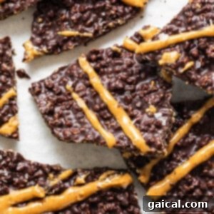 A close up of a plate of chocolate quinoa crisps with a rich chocolate and caramel look, showcasing the perfect texture and drizzle.