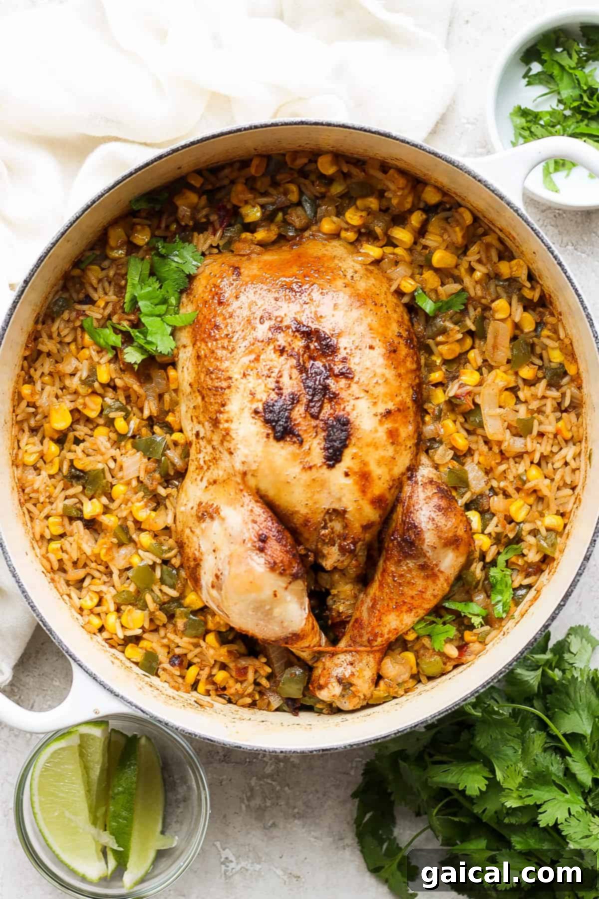One-Pot Spanish Roast Chicken Dinner 2 A delicious skillet of Mexican chicken and rice, ready to serve.