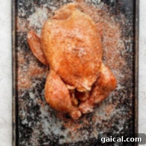 One-Pot Spanish Roast Chicken Dinner 9 A seasoned whole chicken ready for roasting on a baking sheet.