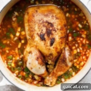 One-Pot Spanish Roast Chicken Dinner 13 A chicken in a pot of soup with rice and vegetables.