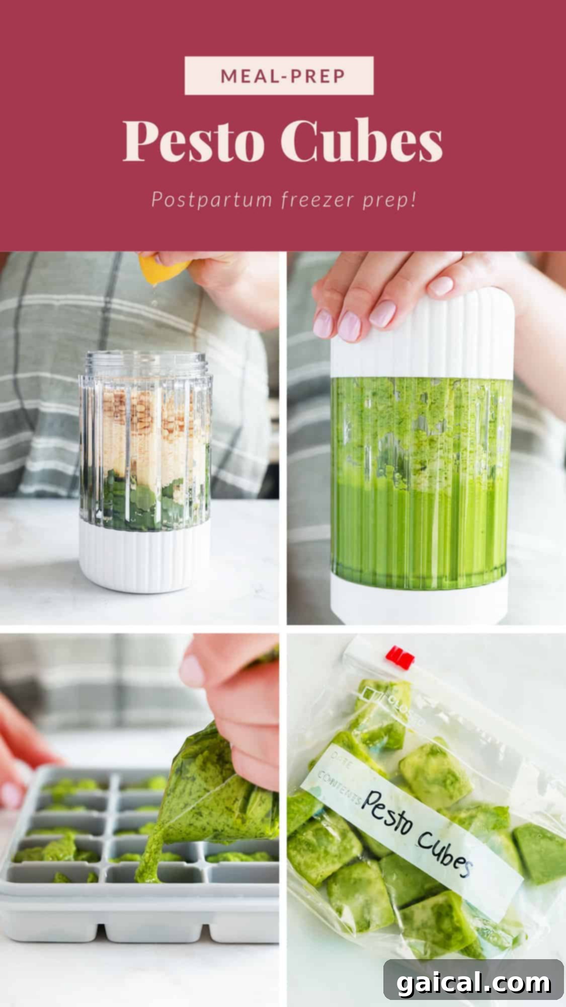 Instructions and visual guide on how to make and freeze homemade pesto cubes.